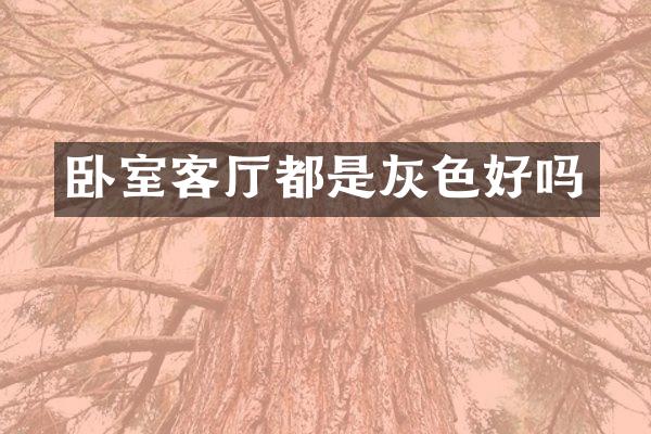 卧室客厅都是灰色好吗
