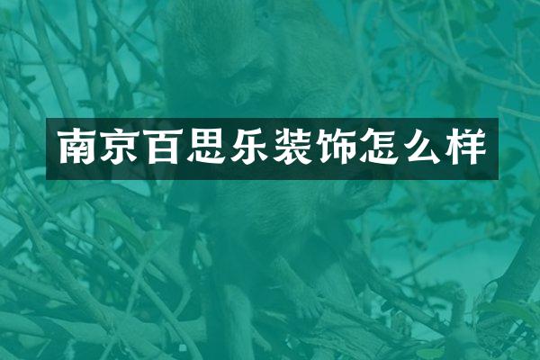 南京百思乐装饰怎么样