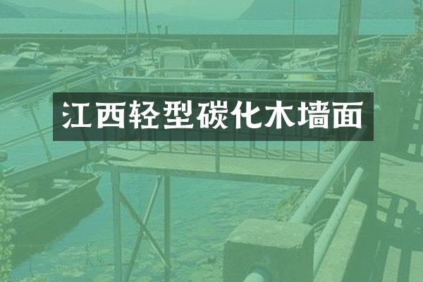 江西轻型碳化木墙面