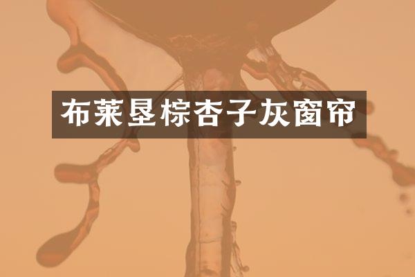 布莱垦棕杏子灰窗帘