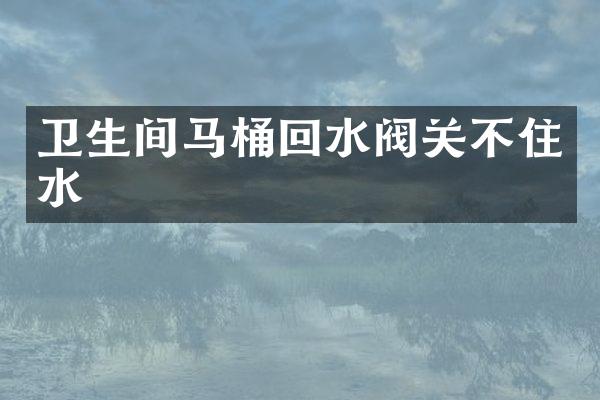 卫生间马桶回水阀关不住水