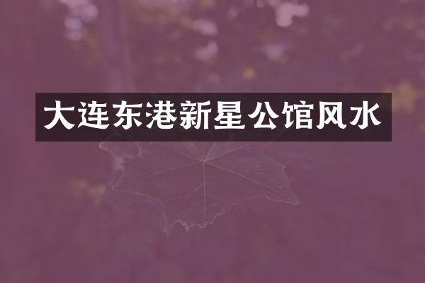 大连东港新星公馆风水