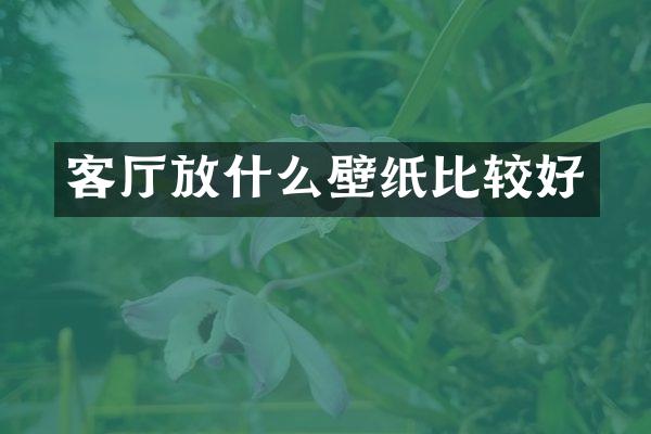 客厅放什么壁纸比较好