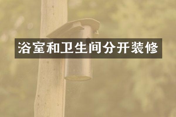 浴室和卫生间分开装修