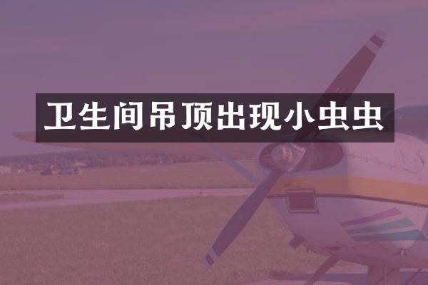 卫生间吊顶出现小虫虫