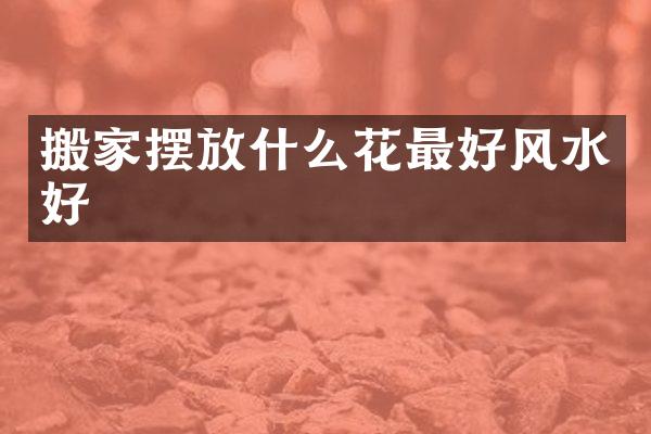 搬家摆放什么花最好风水好