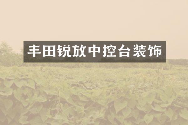 丰田锐放中控台装饰