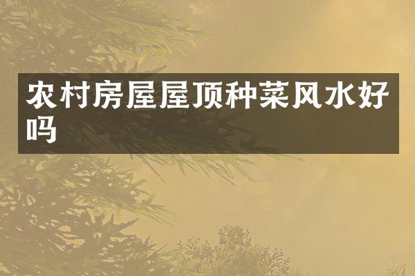 农村房屋屋顶种菜风水好吗