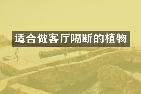 适合做客厅隔断的植物