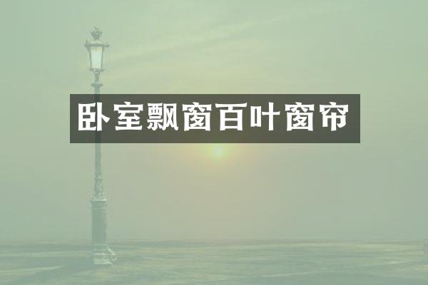 卧室飘窗百叶窗帘