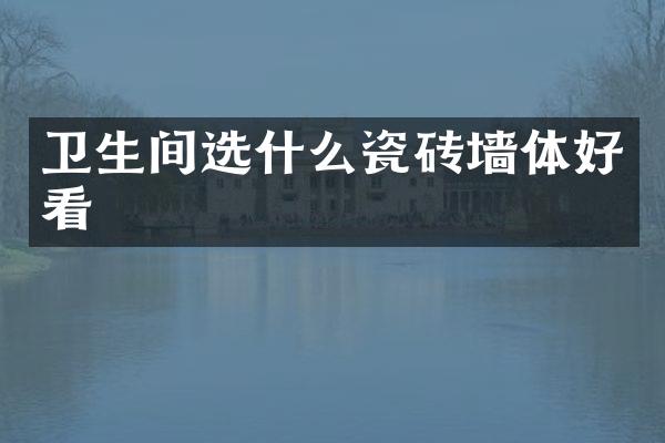 卫生间选什么瓷砖墙体好看