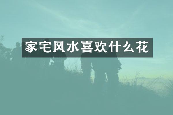 家宅风水喜欢什么花