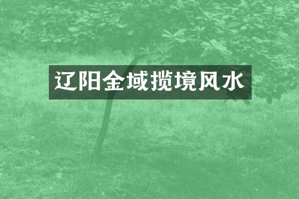辽阳金域揽境风水