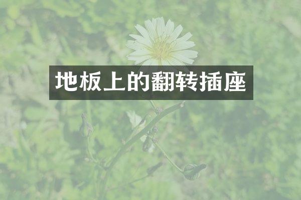 地板上的翻转插座