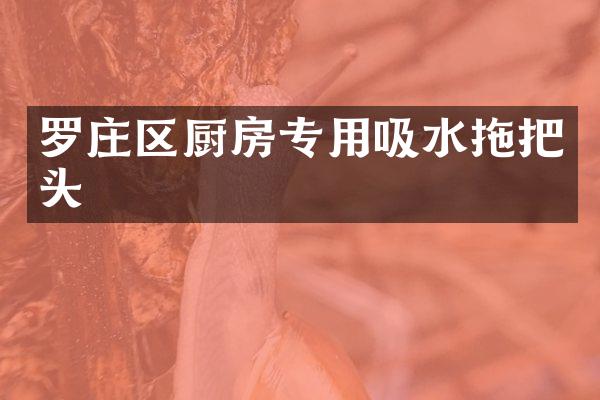 罗庄区厨房专用吸水拖把头