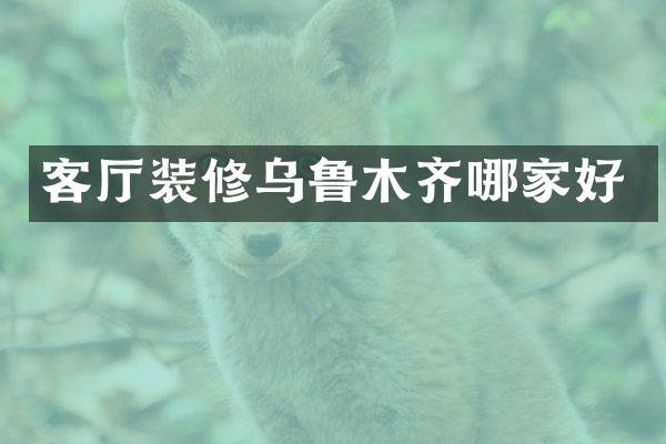 客厅装修乌鲁木齐哪家好