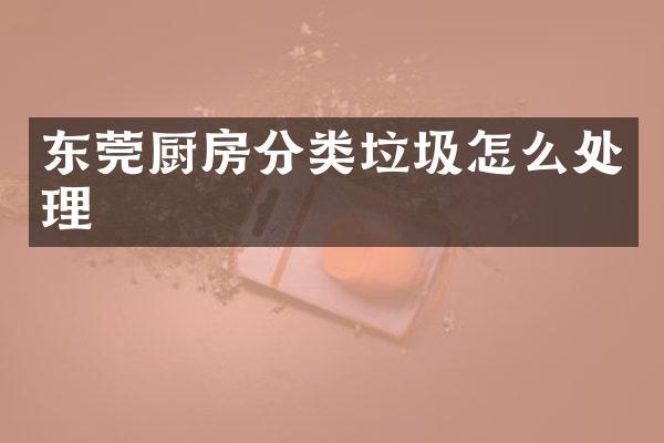 东莞厨房分类垃圾怎么处理