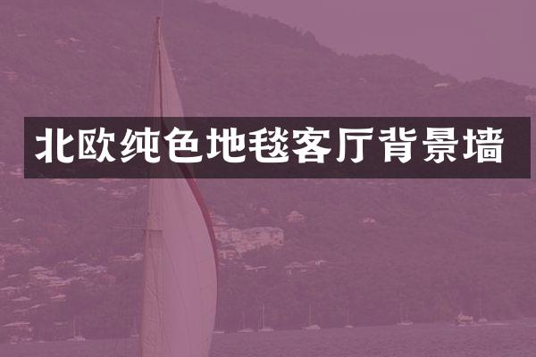 北欧纯色地毯客厅背景墙
