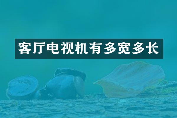 客厅电视机有多宽多长