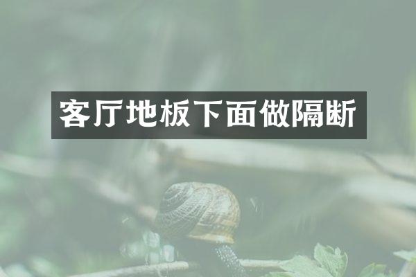 客厅地板下面做隔断