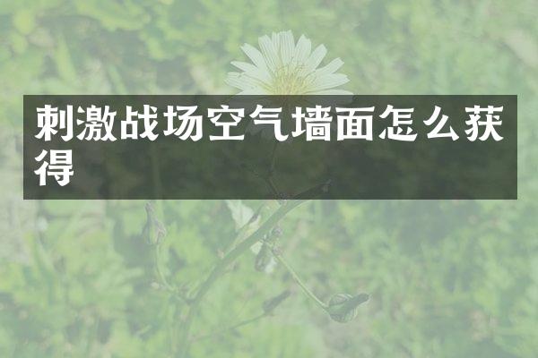 刺激战场空气墙面怎么获得