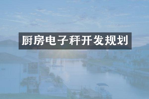 厨房电子秤开发规划