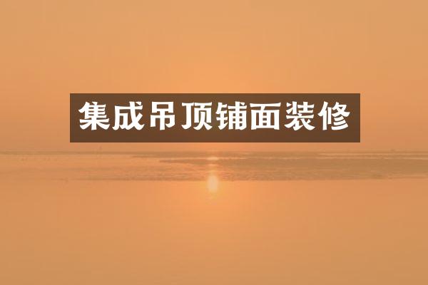 集成吊顶铺面装修