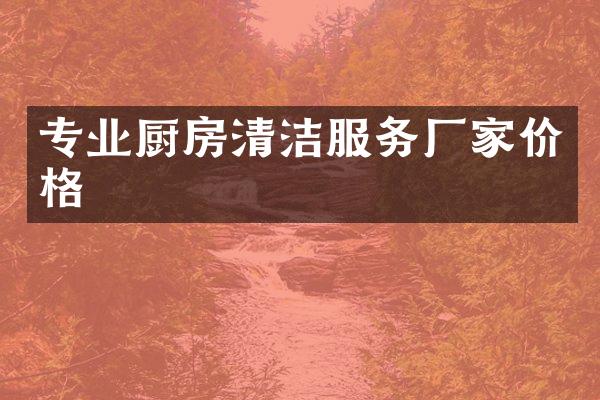 专业厨房清洁服务厂家价格