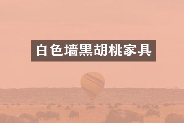 白色墙黑胡桃家具