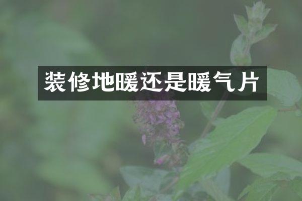 装修地暖还是暖气片