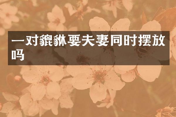 一对貔貅要夫妻同时摆放吗