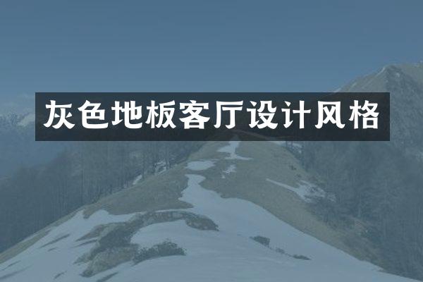 灰色地板客厅设计风格
