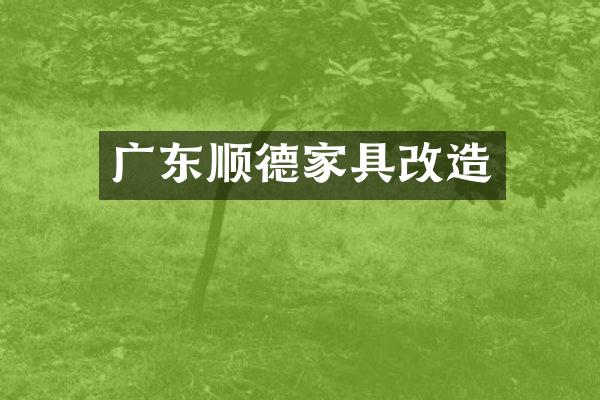 广东顺德家具改造