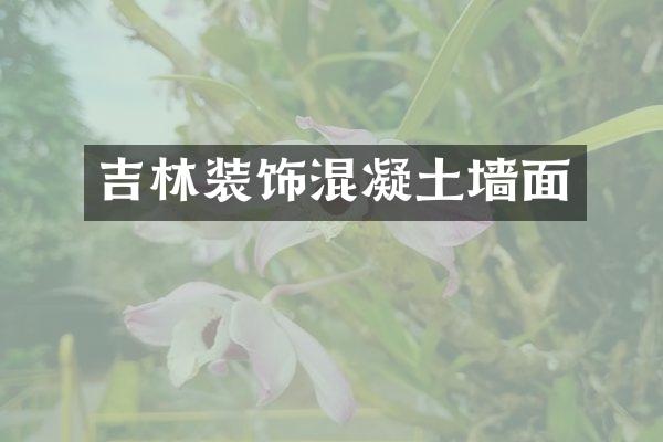 吉林装饰混凝土墙面