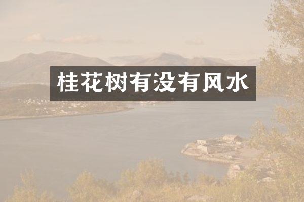 桂花树有没有风水