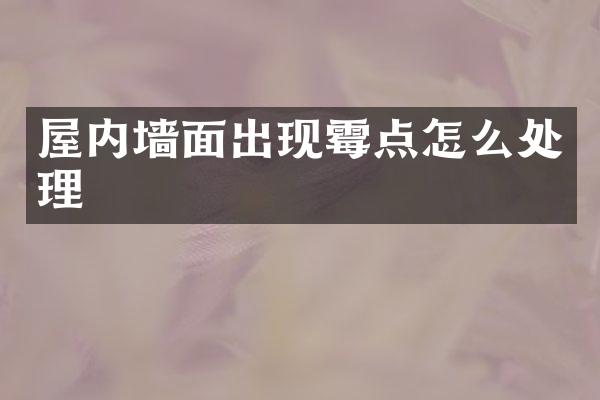 屋内墙面出现霉点怎么处理