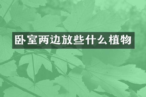 卧室两边放些什么植物