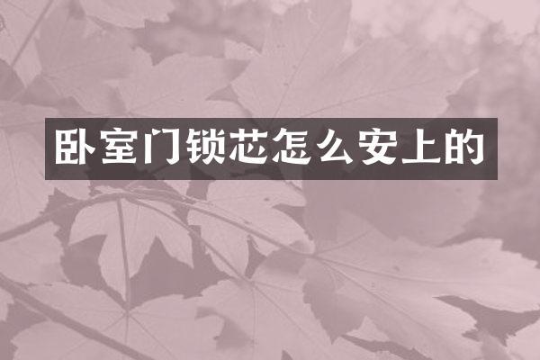 卧室门锁芯怎么安上的