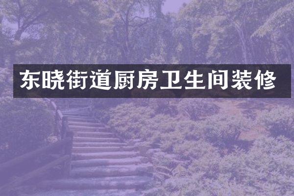 东晓街道厨房卫生间装修