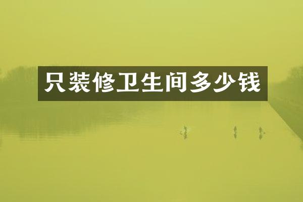 只装修卫生间多少钱