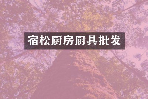 宿松厨房厨具批发