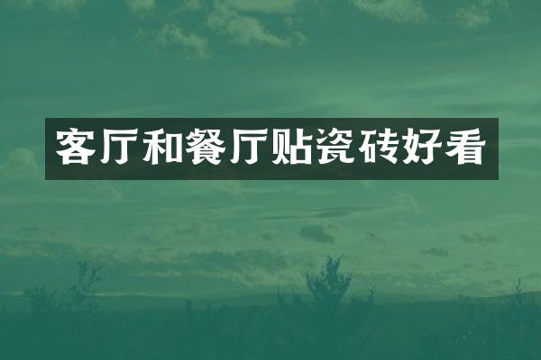 客厅和餐厅贴瓷砖好看