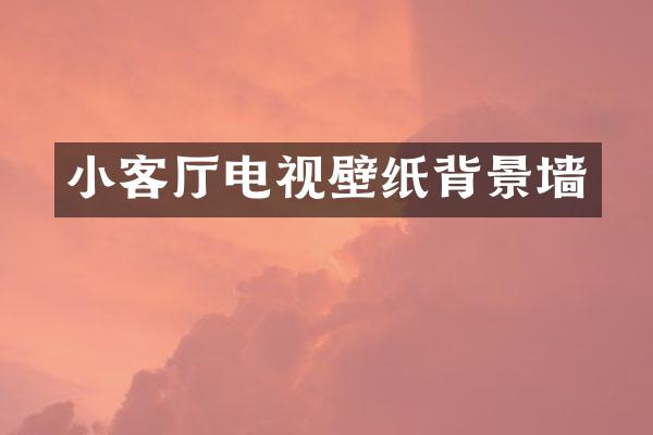 小客厅电视壁纸背景墙