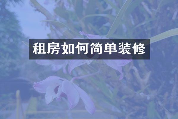 租房如何简单装修