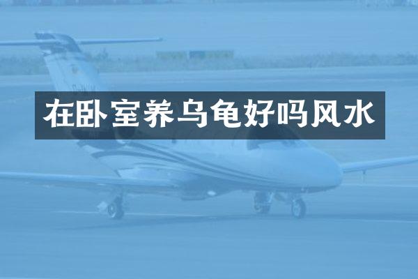在卧室养乌龟好吗风水