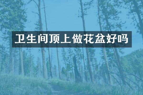 卫生间顶上做花盆好吗