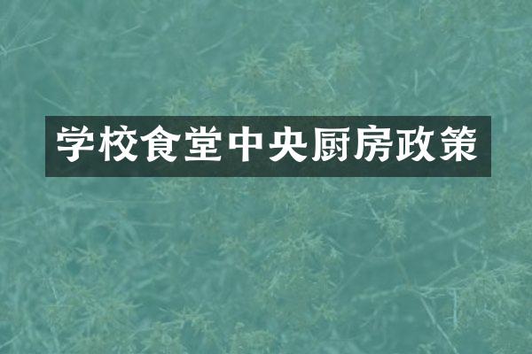 学校食堂中央厨房政策