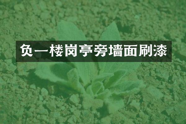 负一楼岗亭旁墙面刷漆