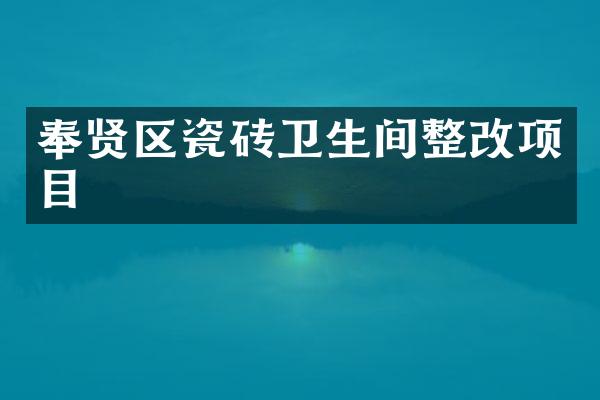 奉贤区瓷砖卫生间整改项目