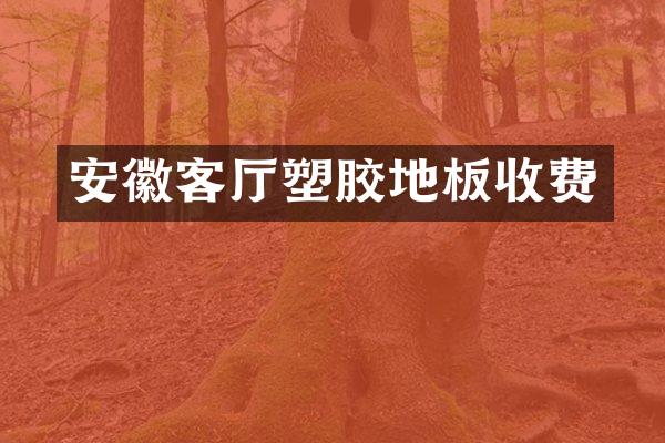 安徽客厅塑胶地板收费